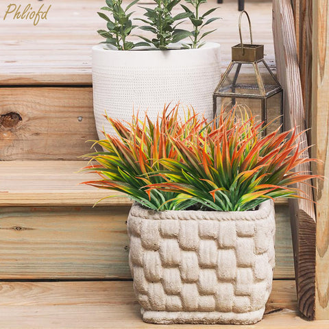 Phliofd window-display grass plant brightens indoor views with minimal upkeep.