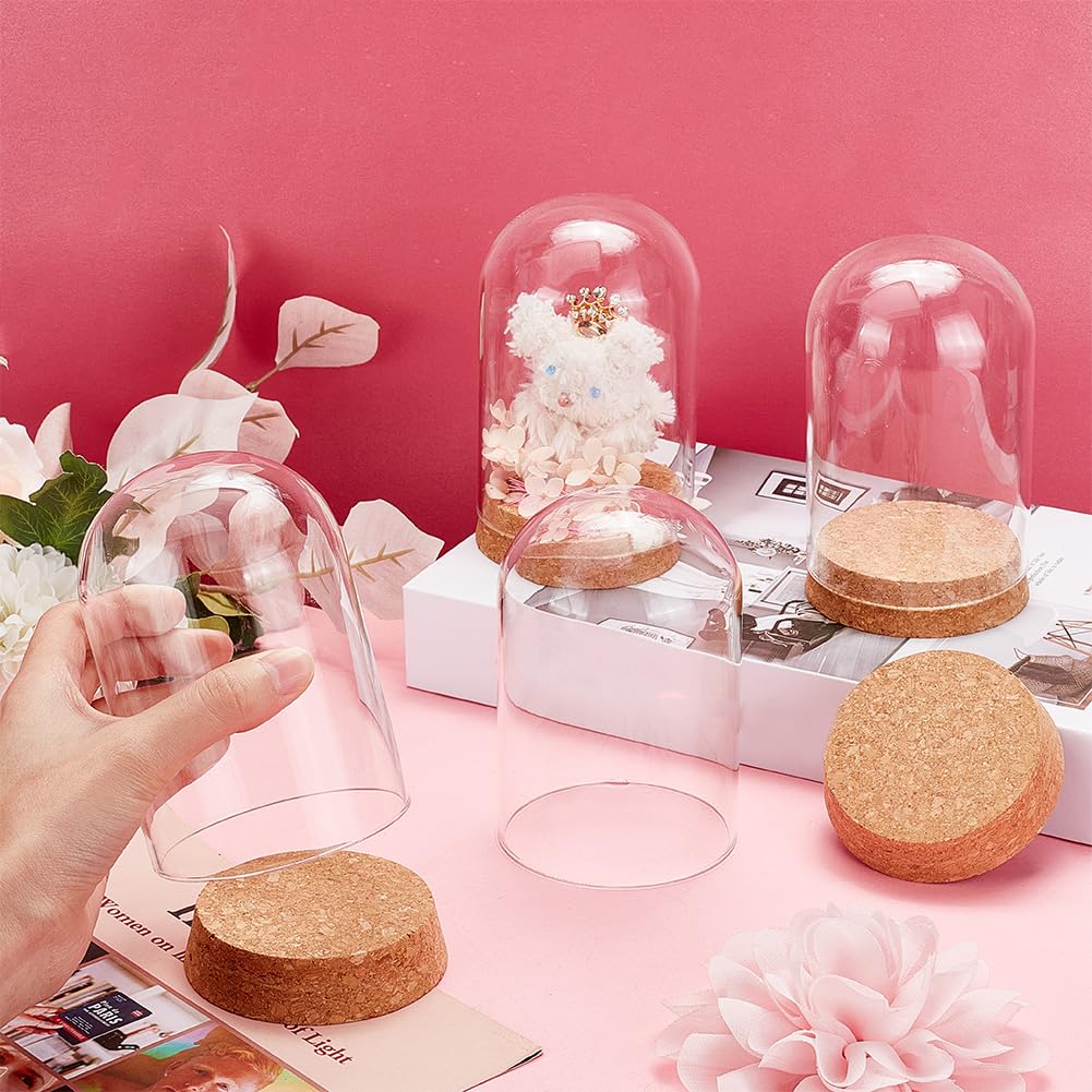 PH PandaHall cloche glass dome filled with seashells and sand