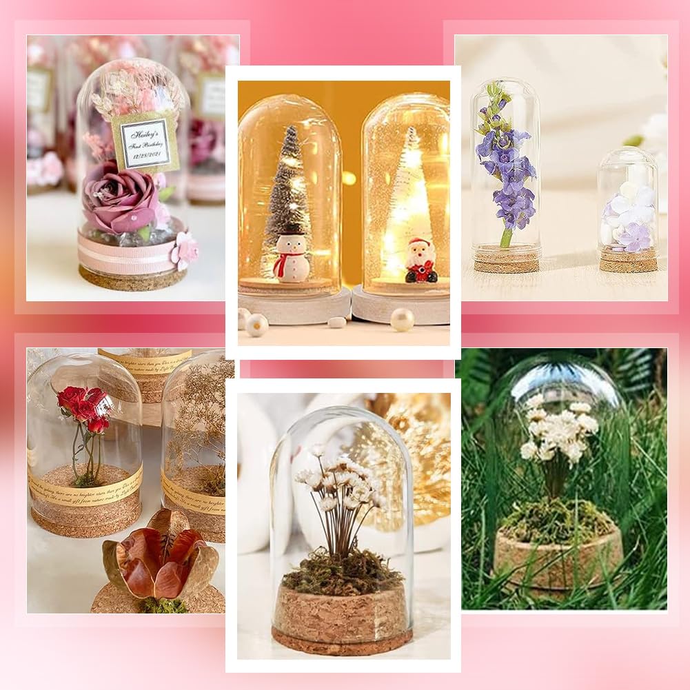 PH PandaHall cloche glass dome ideal for gift-ready decor and mini scenes