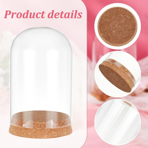 PH PandaHall cloche glass dome with cap and glass separated for DIY setup