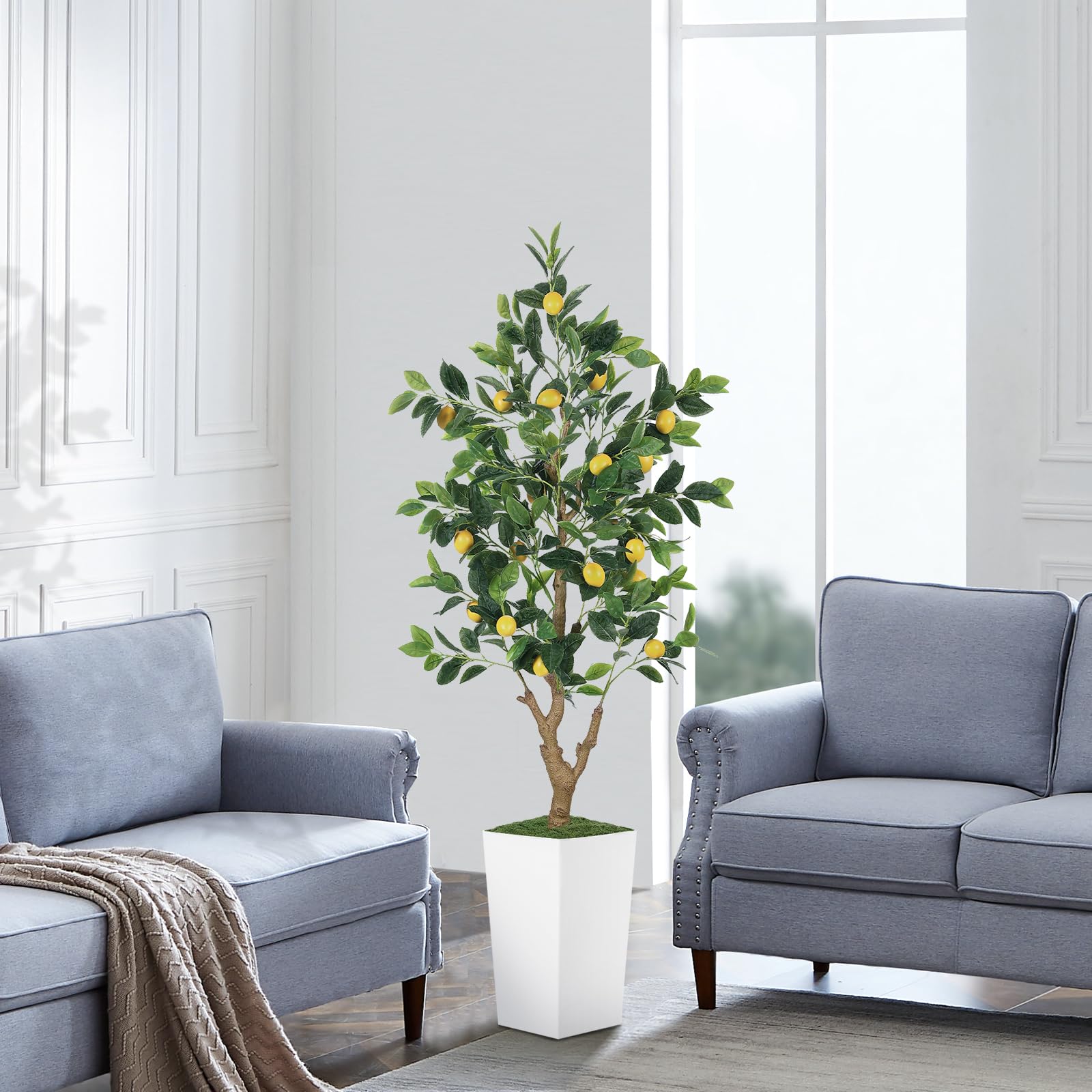 PHYTREE base with faux moss for a secure, natural-looking display.