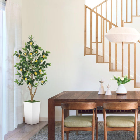 PHYTREE lemon tree in a living room corner adds tropical vibes.