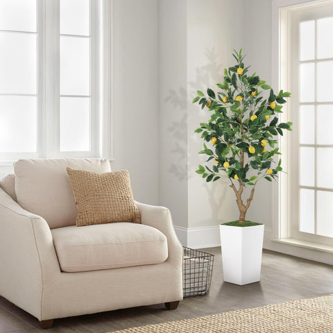 PHYTREE wipe-clean leaves maintain vibrancy without watering.