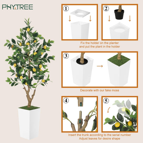 PHYTREE numbered branches facilitate quick assembly and flexible styling.