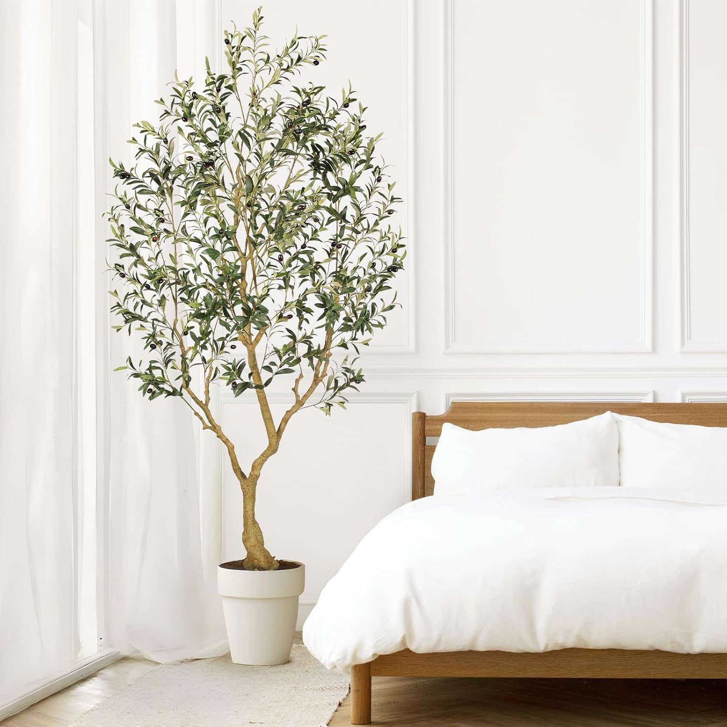 PHYTREE ideal for living rooms, offices, lobbies and more.