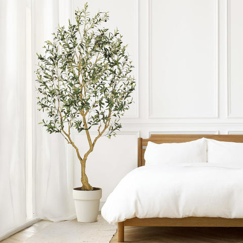 PHYTREE ideal for living rooms, offices, lobbies and more.