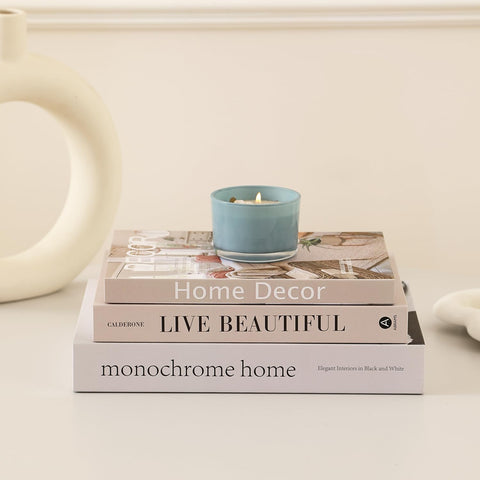 Picapspr decorative books set medium highlighting hollow storage for remotes and keepsakes
