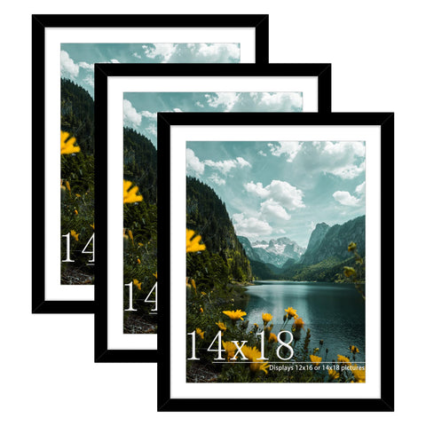 Picrit 14x18 frame with mat showing versatile display for posters and photos.