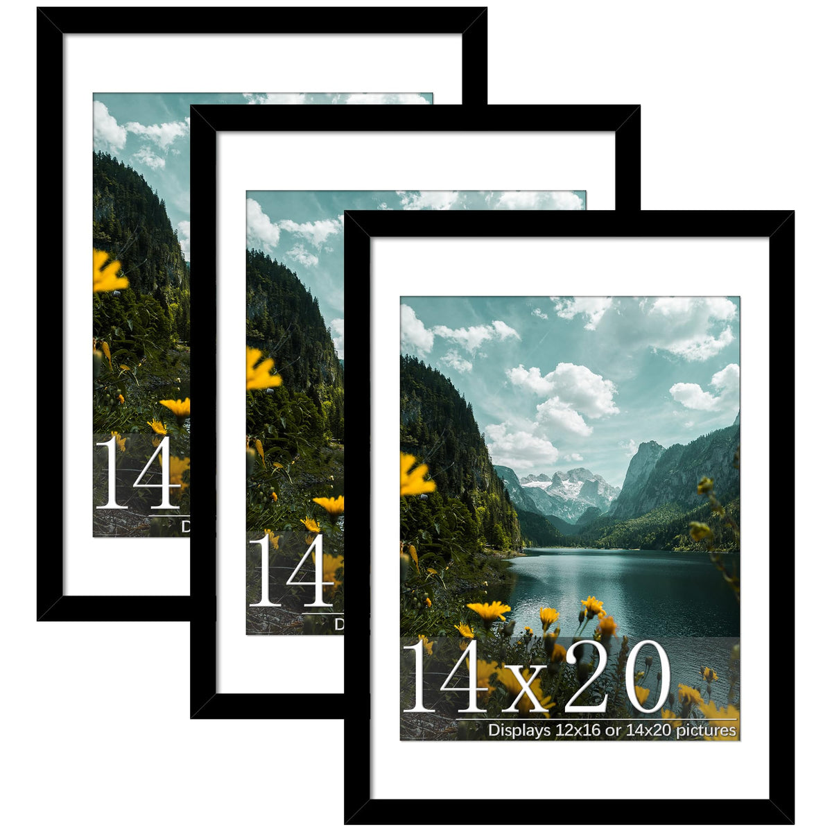 Picrit 14x20 frame with plexiglass front protects posters and reduces glare