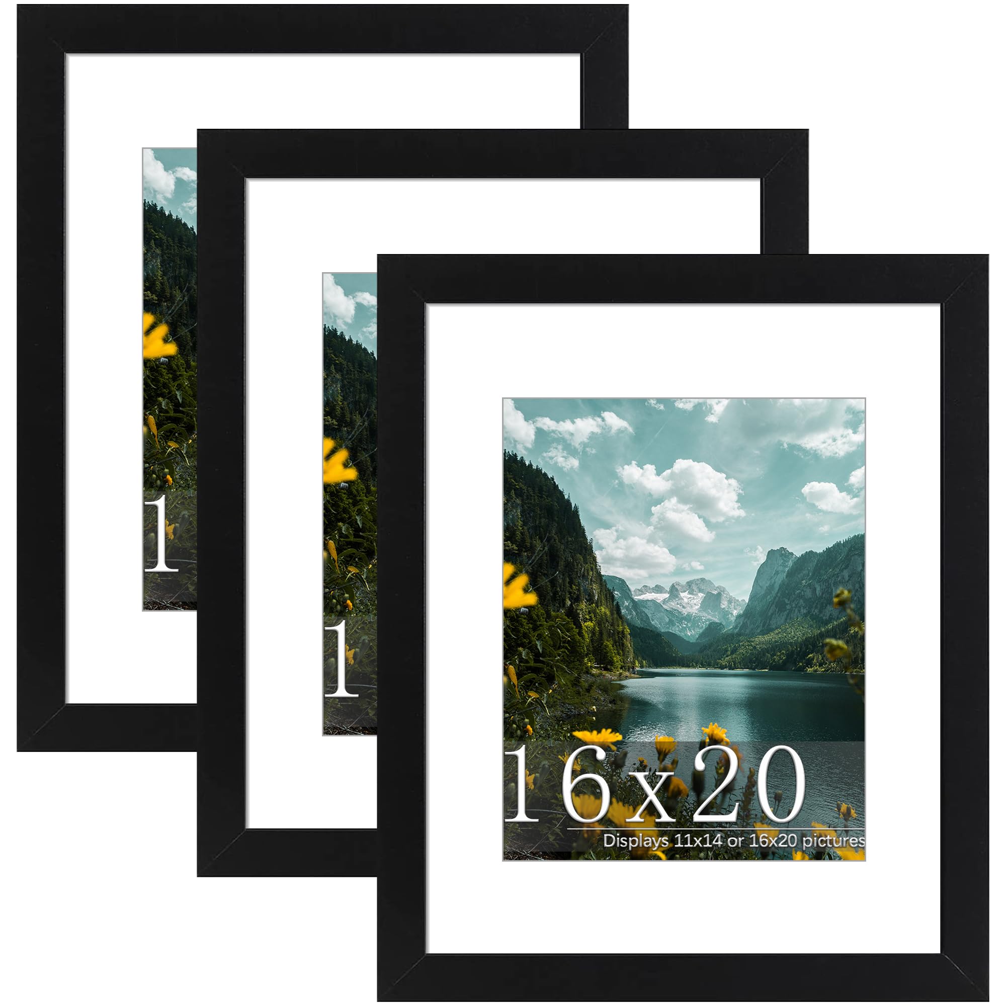 Picrit 16x20 black wood frame with front for a polished wall display.