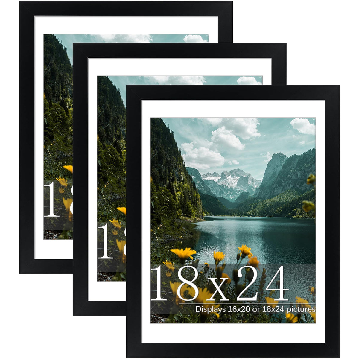 Picrit 18x24 frame with mat for flexible display options.