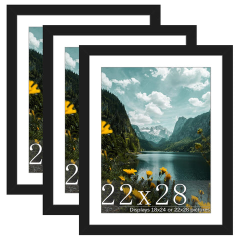 Picrit 22x28 frame front view shows a sleek black MDF finish for stylish wall display.