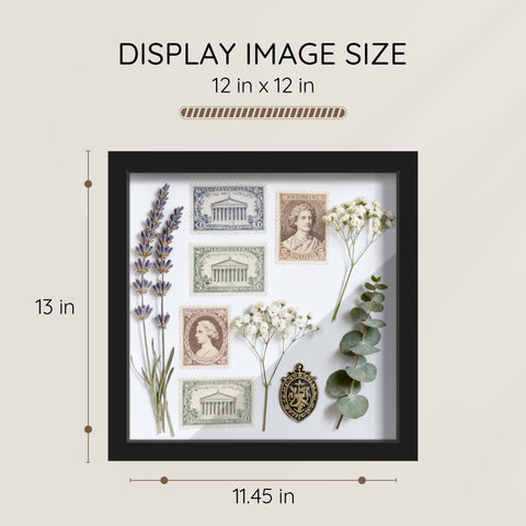 Picrit Shadow Box Frame 12x12 with acid-free backboard protects delicate items.