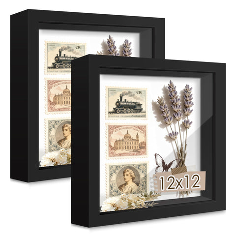 Picrit Shadow Box Frame 12x12 front glass for crystal-clear displays.