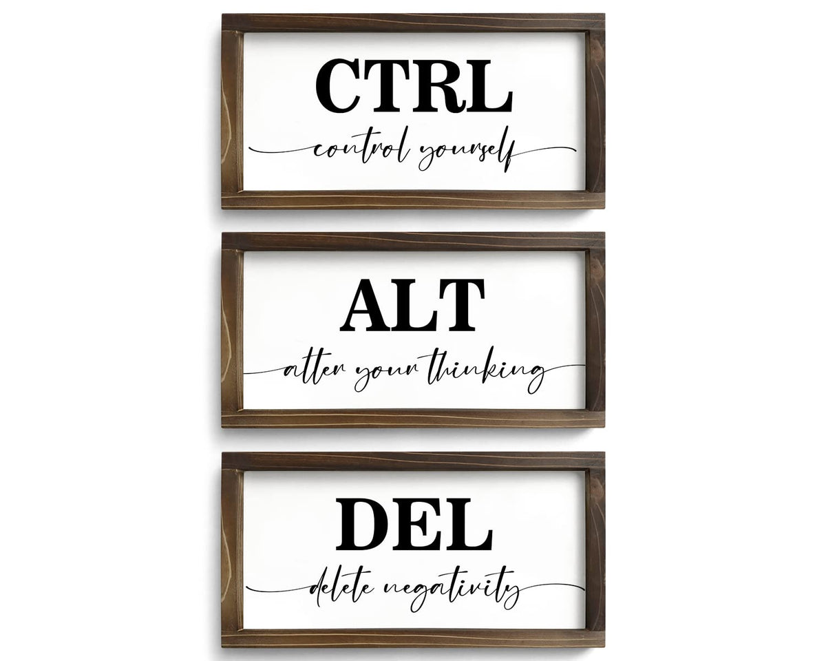 Pinetree Art CTRL ALT DEL framed sign boosts office motivation.