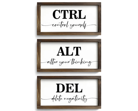 Pinetree Art CTRL ALT DEL framed sign boosts office motivation.