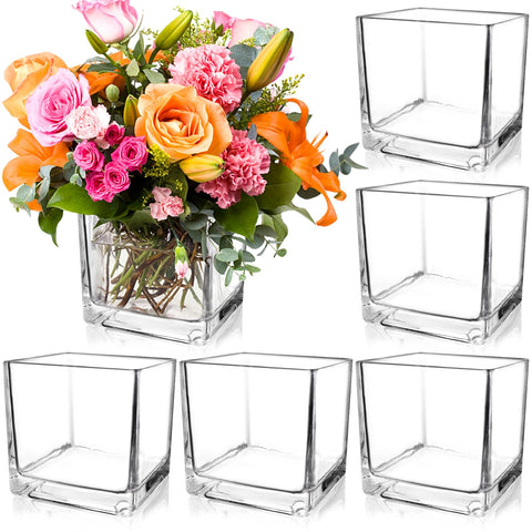 PINIWON square vase 5x5 inch with clear glass and a stable base for elegant tables.
