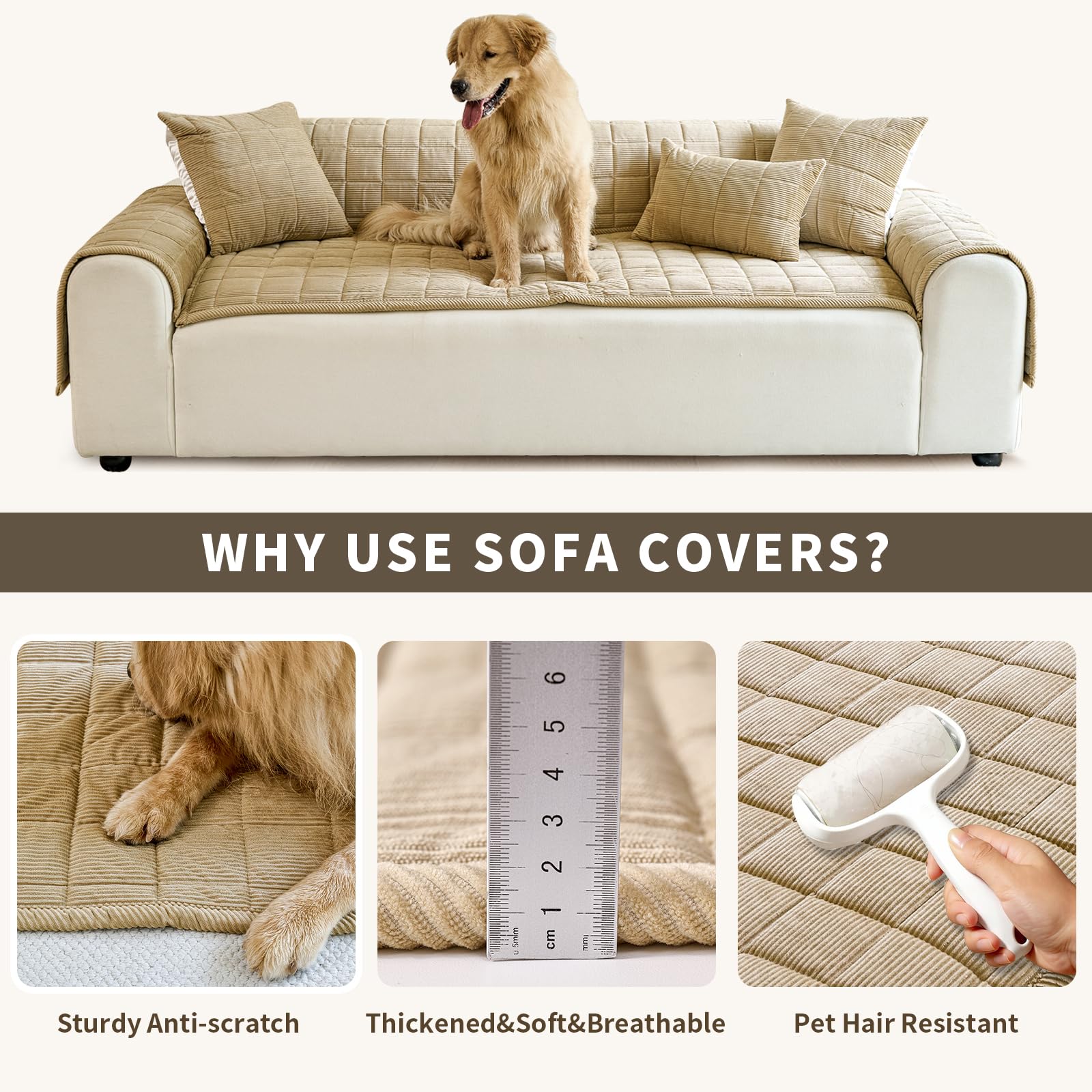 PJLZJFBY multi-use pet pad also functions as floor mat.