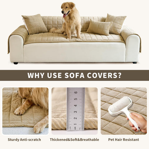PJLZJFBY multi-use pet pad also functions as floor mat.