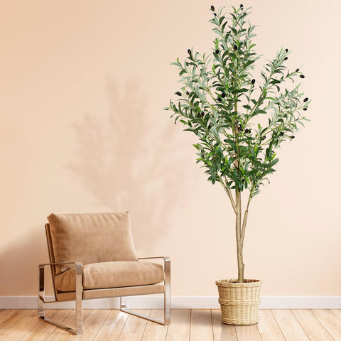 Plantsworld 6ft olive tree with realistic trunk for home or office decor