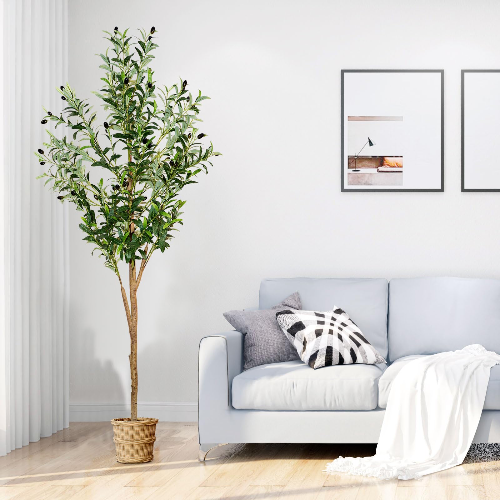 Plantsworld olive tree makes a thoughtful gift for holidays or housewarmings