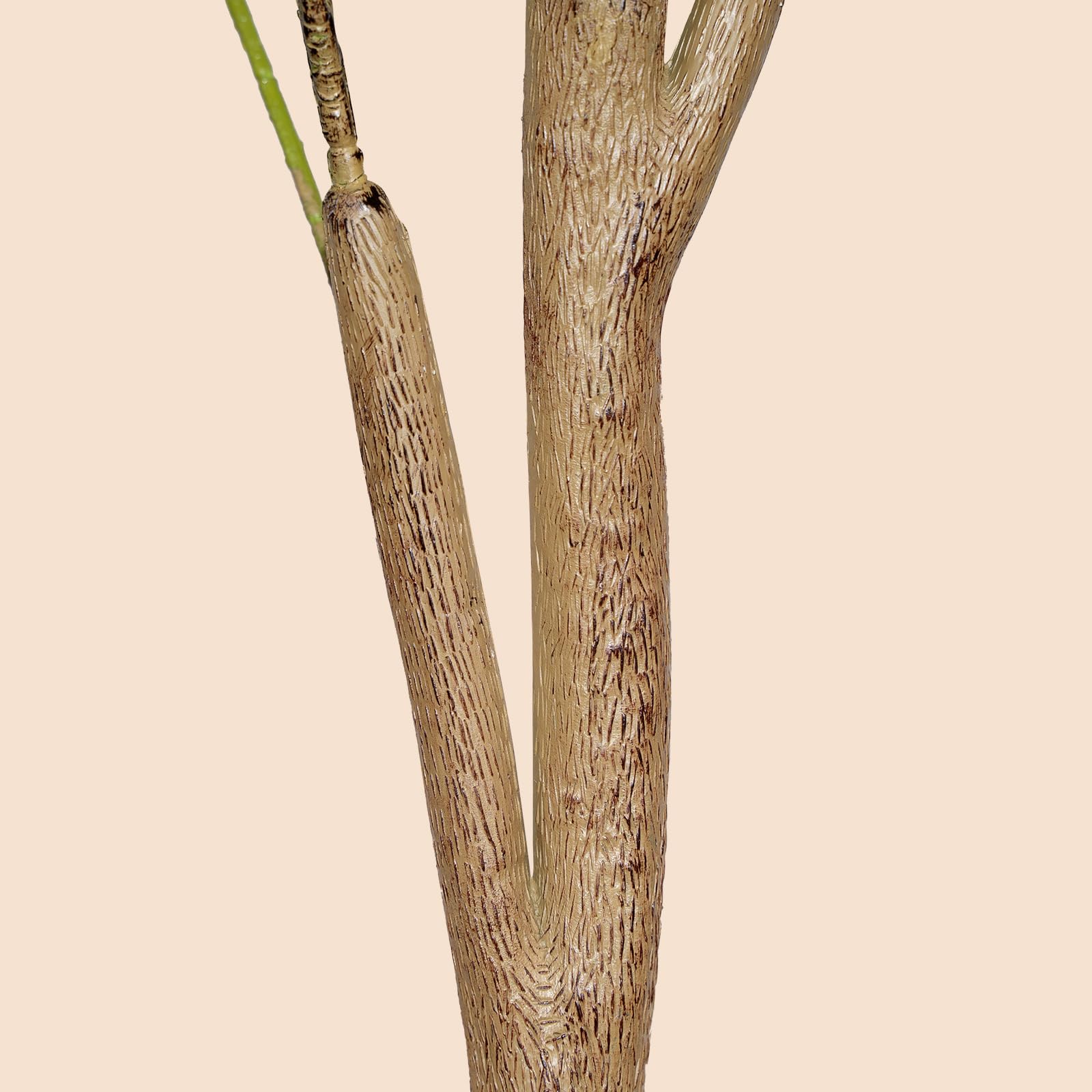 Plantsworld olive tree comes with a sturdy cement-based pot for stability