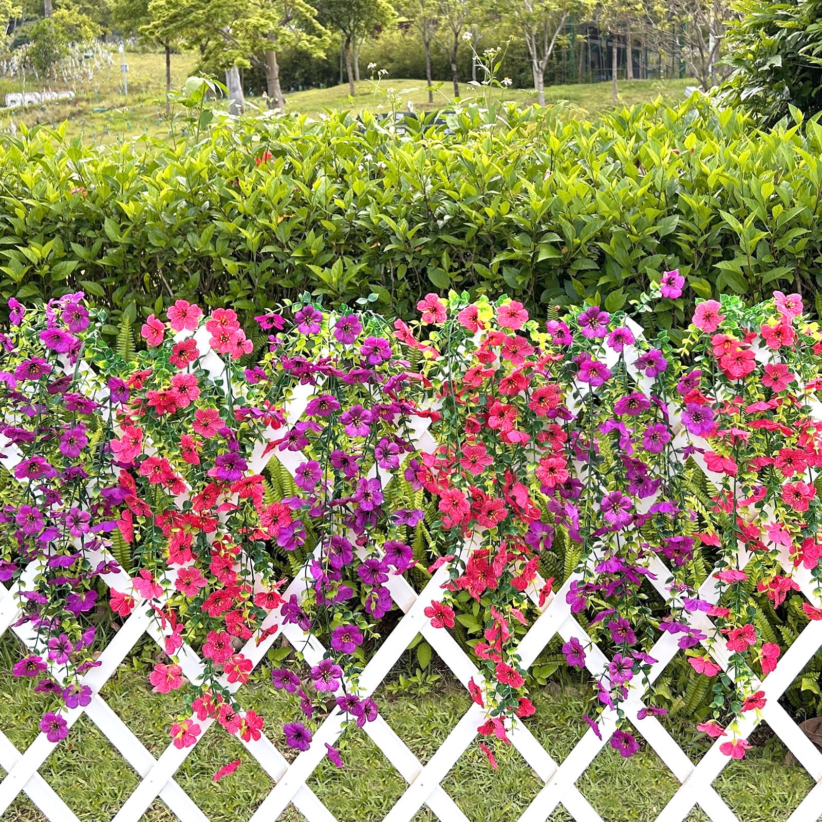 Playieer low-maintenance outdoor flowers require no watering.