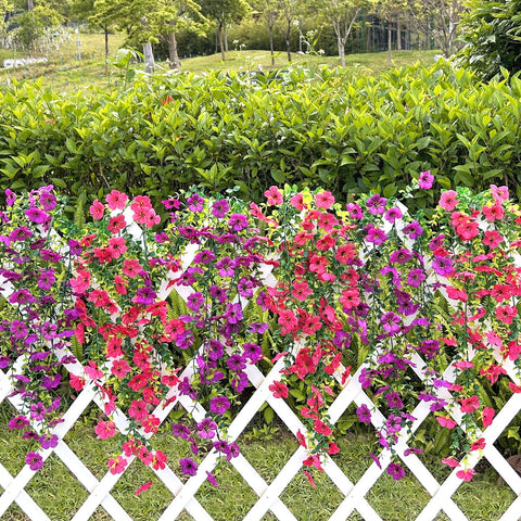 Playieer low-maintenance outdoor flowers require no watering.