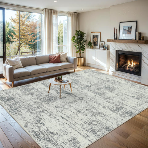 Packaging and care guidelines for PLHXFR 6x9 area rug