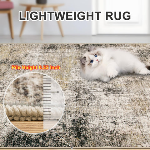 PLHXFR machine washable rug for easy cleaning and refreshes.