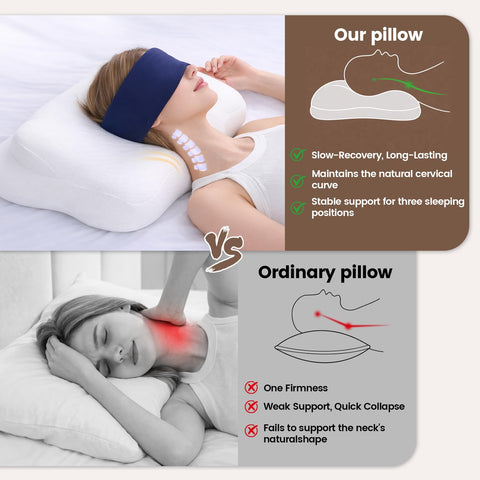 Ploithic New 2.0 Cloud Pillow contoured zones highlight three-zone support for proper alignment.