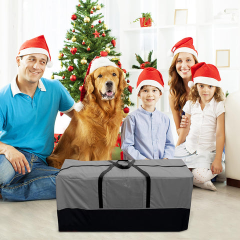 PLTCAT gray storage bag is versatile for seasonal organization.