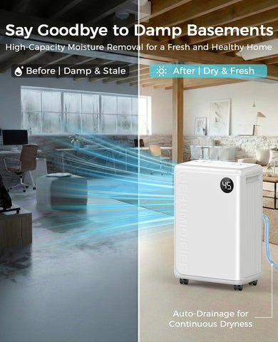 PLUSCENT dehumidifier connected to drain hose for continuous moisture removal