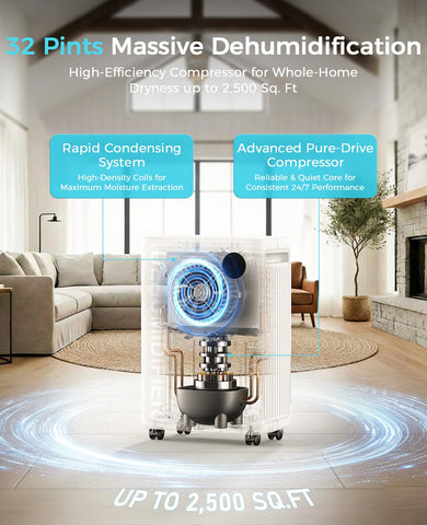 PLUSCENT dehumidifier in open-concept space maintains comfortable humidity levels