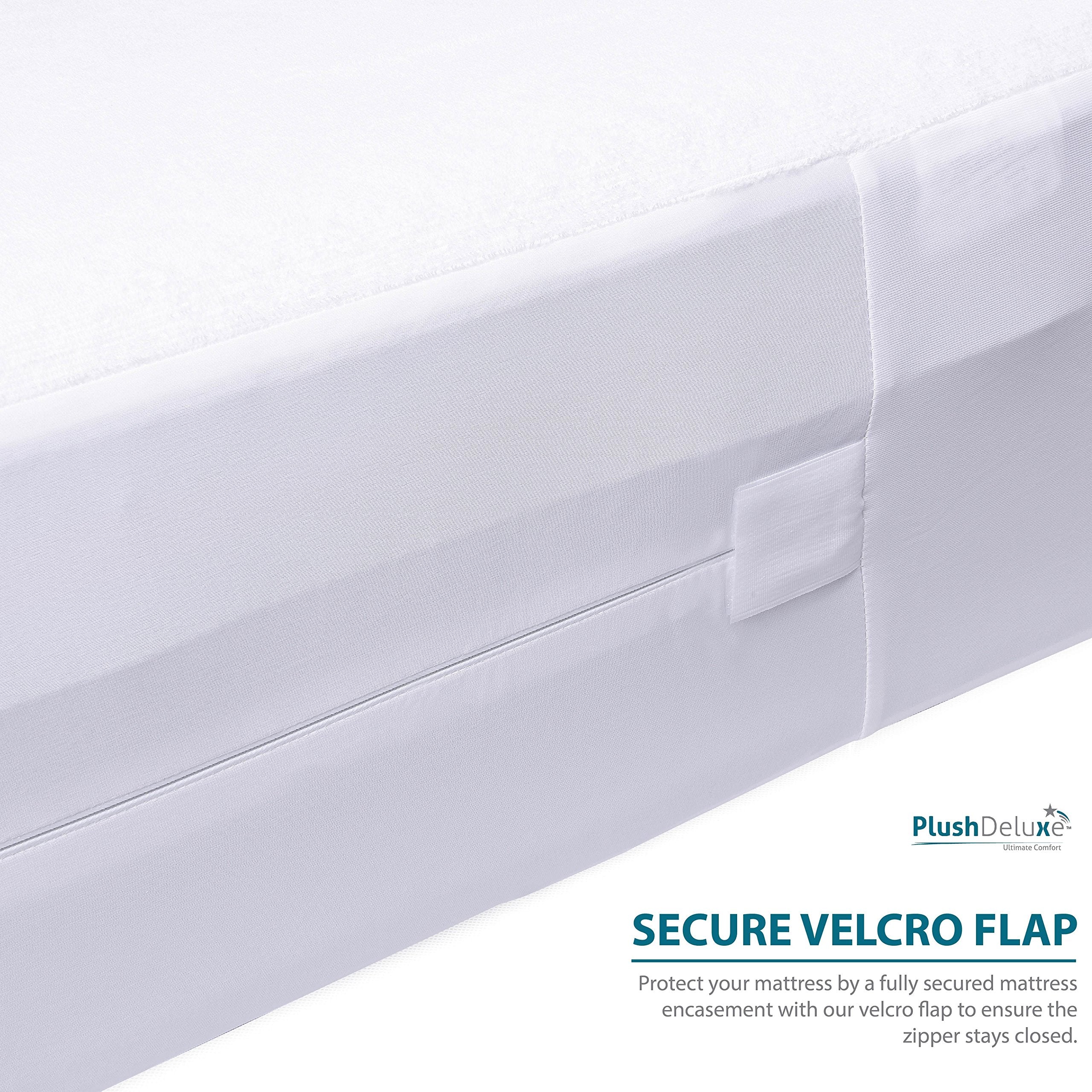 PlushDeluxe bedbug-proof design guards against pests on the mattress.