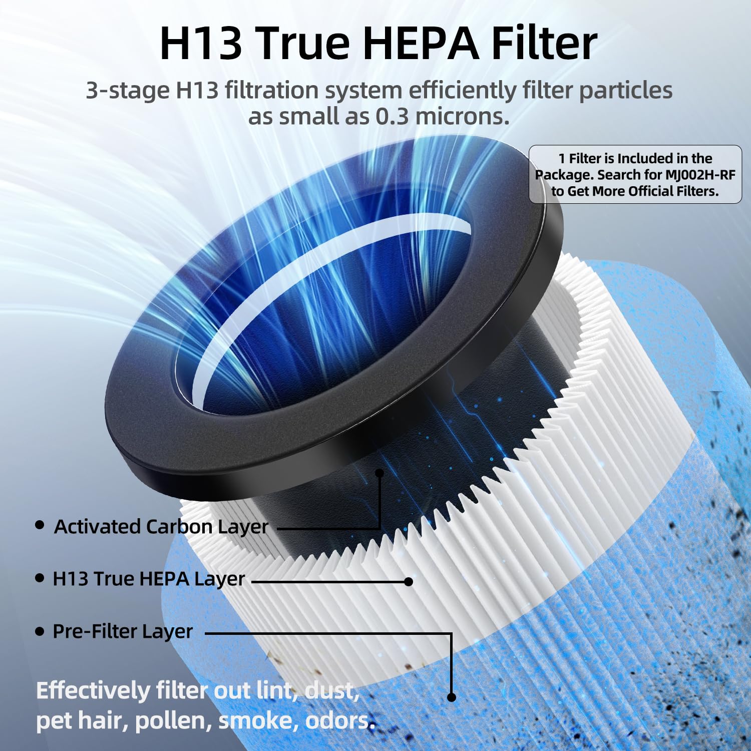 POMORON True H13 filter close-up highlighting high efficiency particle removal