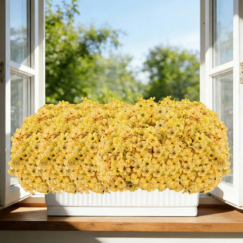 Powbrace flowers stand 13 inches tall for balcony or railing displays