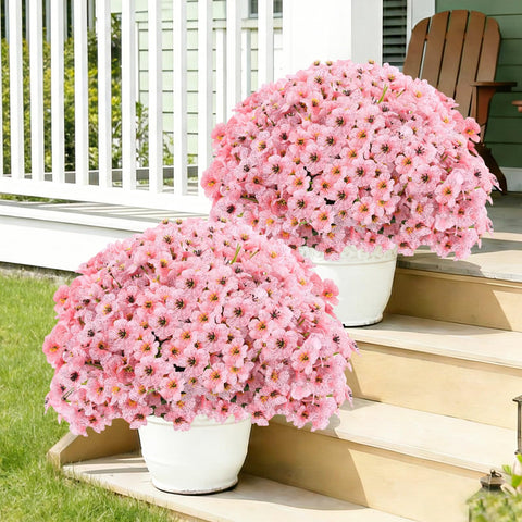 Powbrace maintenance-free outdoor flowers require no watering or pruning.