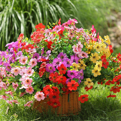 Powbrace flowers resist sunlight fading for long-lasting outdoor beauty