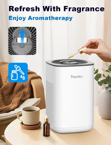 Priestley compact purifier on a desk demonstrating 3-in-1 functionality.