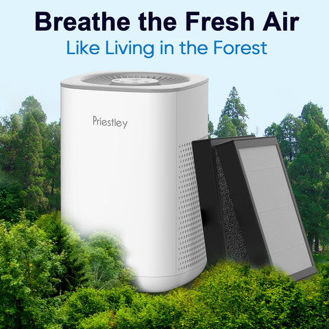 Priestley compact purifier on an office desk setup.