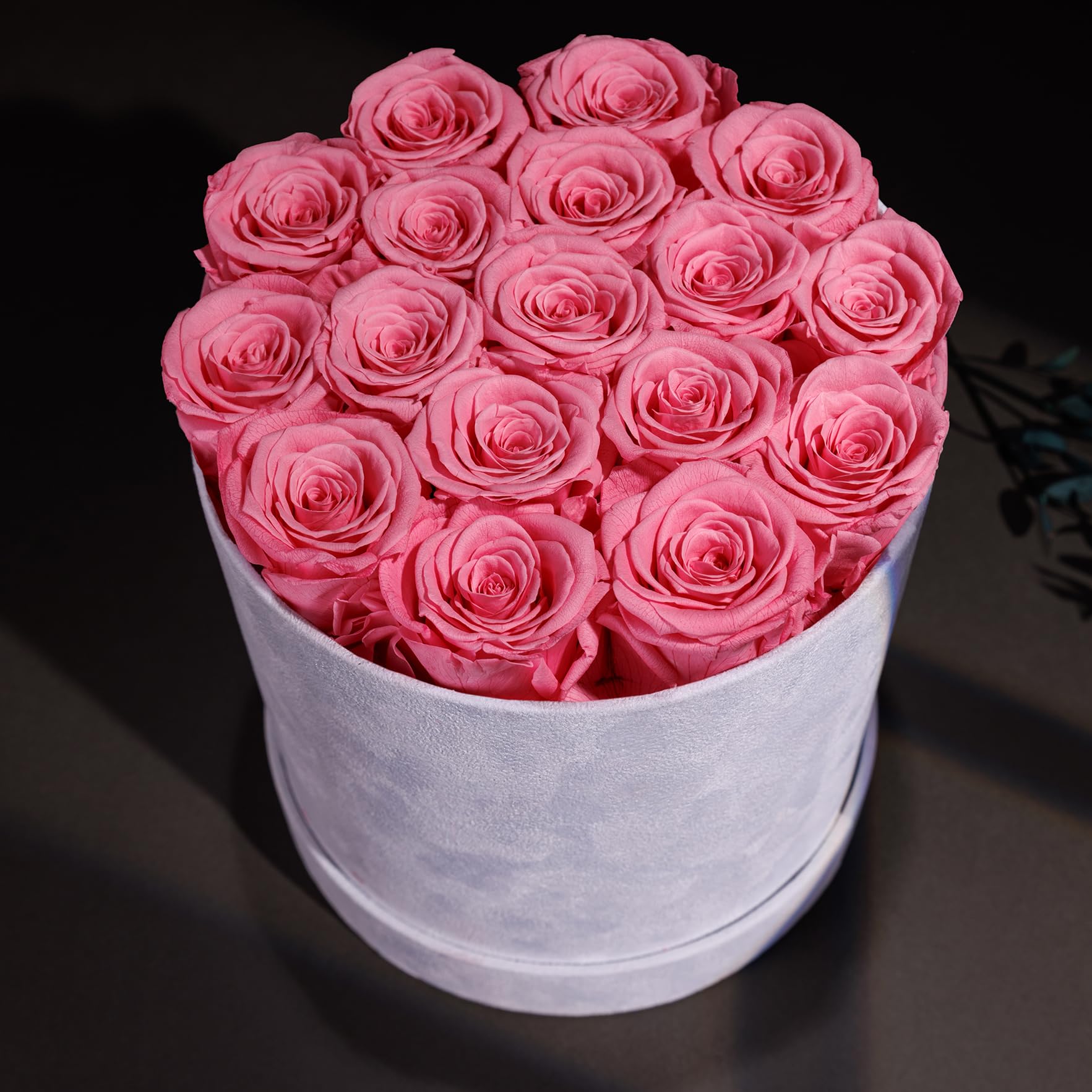 Prifroti 17 Flowers pink roses close-up highlighting soft hues.