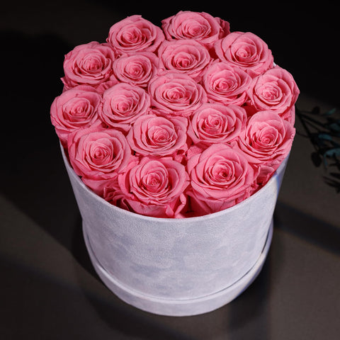 Prifroti 17 Flowers pink roses close-up highlighting soft hues.
