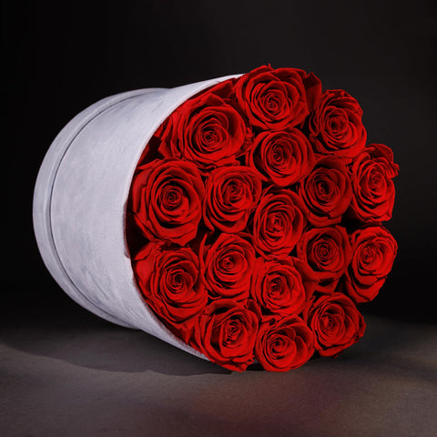 Prifroti 17 roses red closeup highlights lush petals and lifelike texture