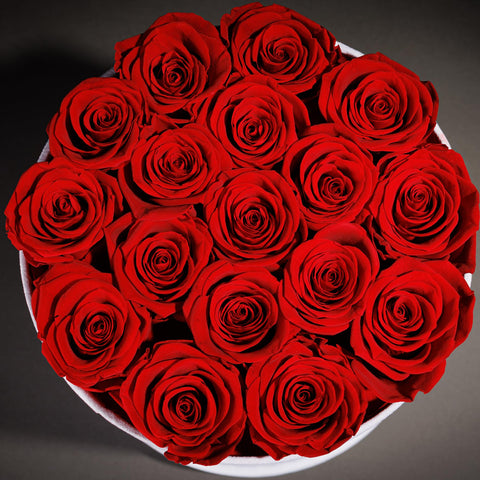 Prifroti luxury gift for women adds elegant decor