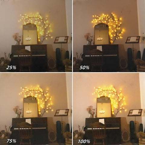 Probapro Enchanted Willow Vine Lights with flexible branches for customized decor.
