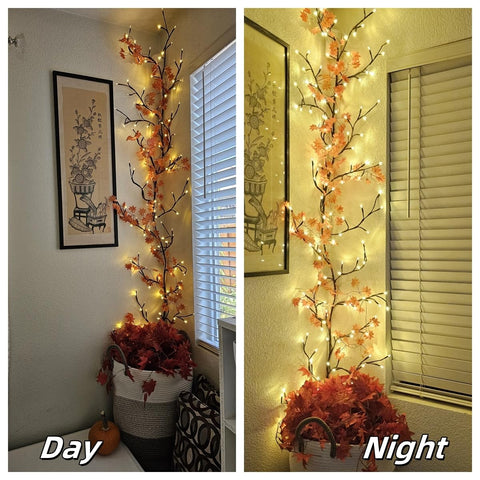 Probapro Enchanted Willow Vine Lights with low voltage transformer for safe indoor use.