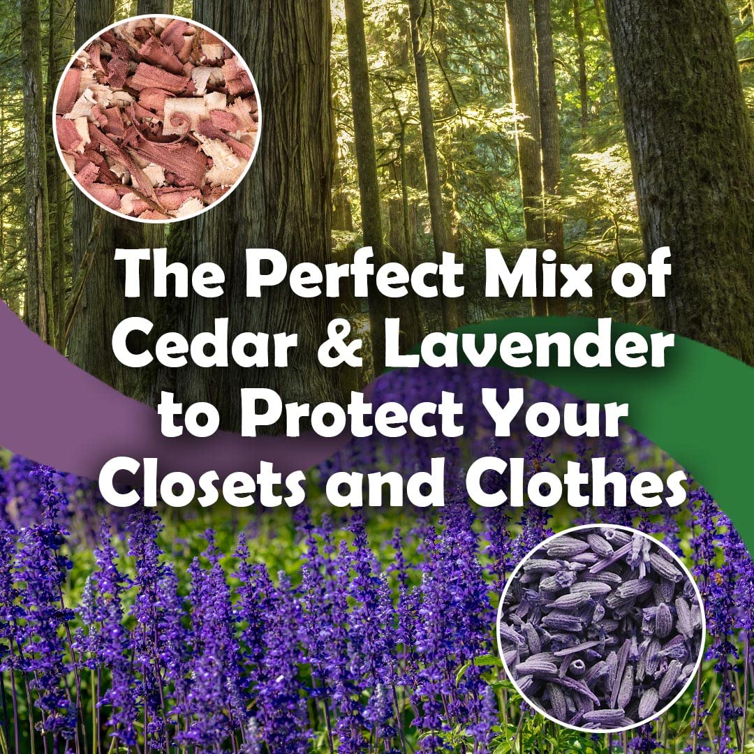 Long-lasting fragrance concept from Professor Killamoth cedar and lavender visuals.