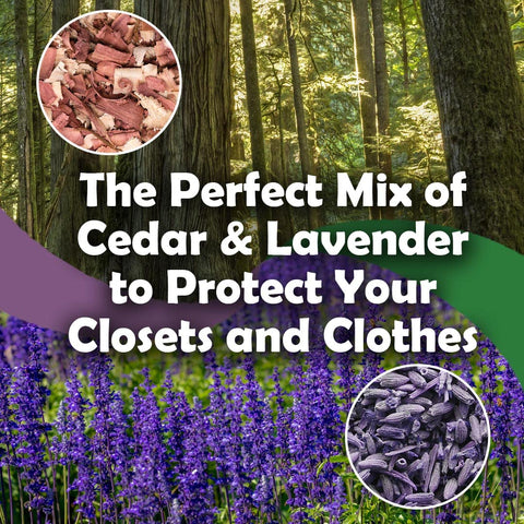 Long-lasting fragrance concept from Professor Killamoth cedar and lavender visuals.