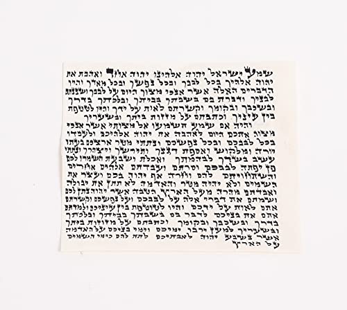 The PROSHOFAR Rabbi-scribe mezuzah scroll features hand calligraphy for sacred entrances.